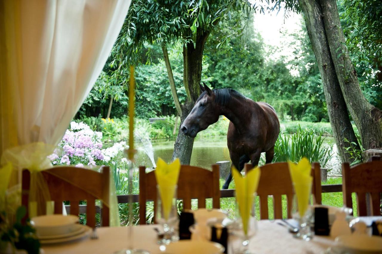Rancho Slezanski Mlyn Szczepanów Extérieur photo